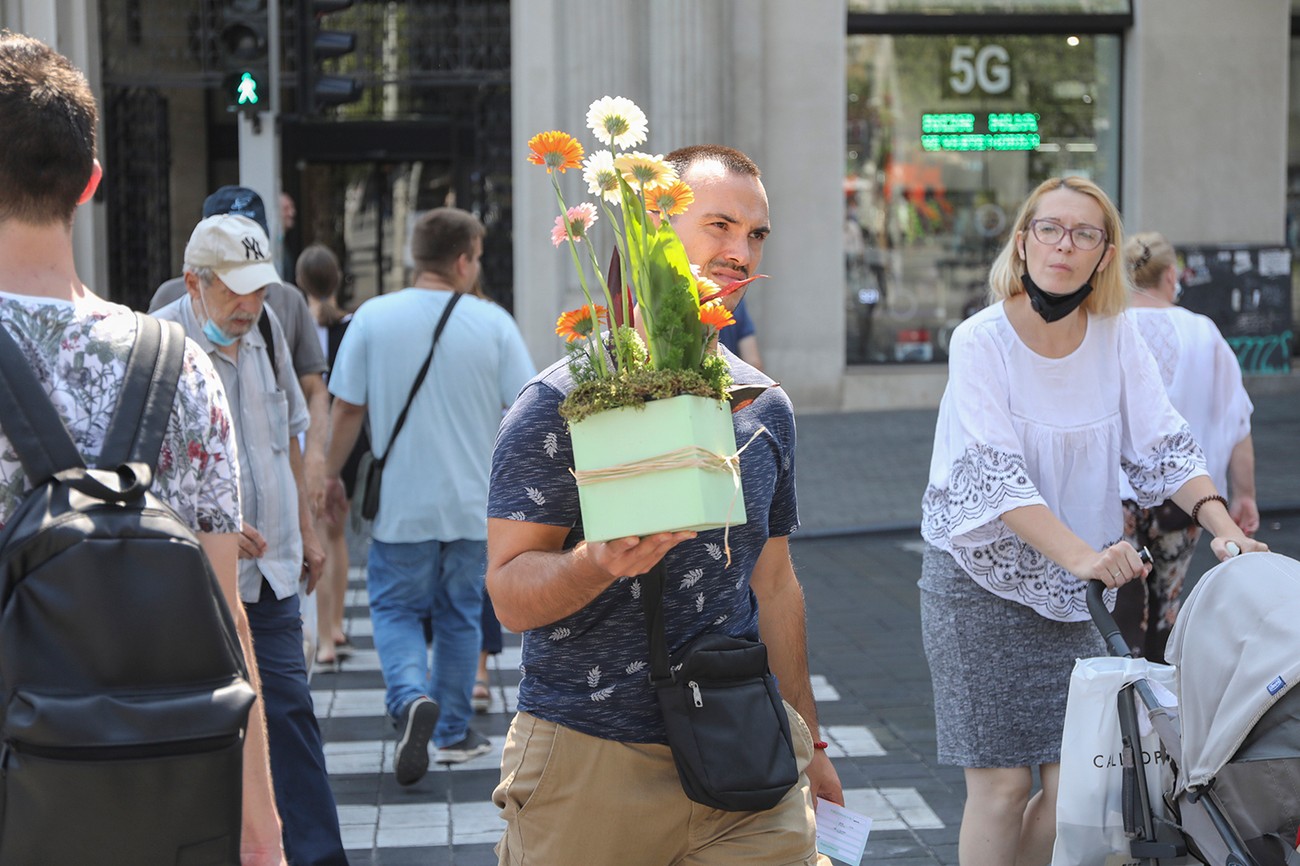 FOTO DANA Lepe žene prolaze kroz grad, a ima i džentlmena! A šta ste vi ...