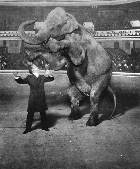 W londyńskim Hippodromie sprawił, że na oczach setek zgromadzonych osób ze sceny zniknął słoń wraz z jego treserem