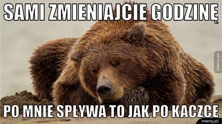 Zmiana czasu 2024. Najlepsze memy! Zobacz, zanim przestawisz zegarki ...