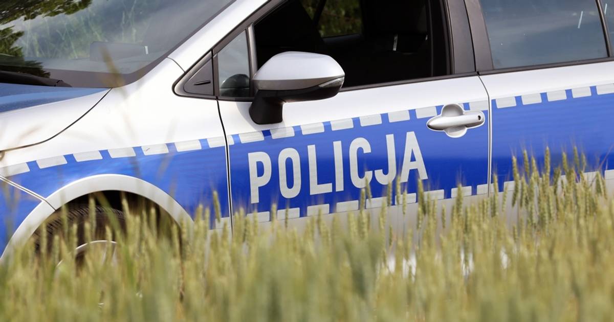 16-latka żyła, gdy ją zakopywali. Znajomi zgotowali jej piekło