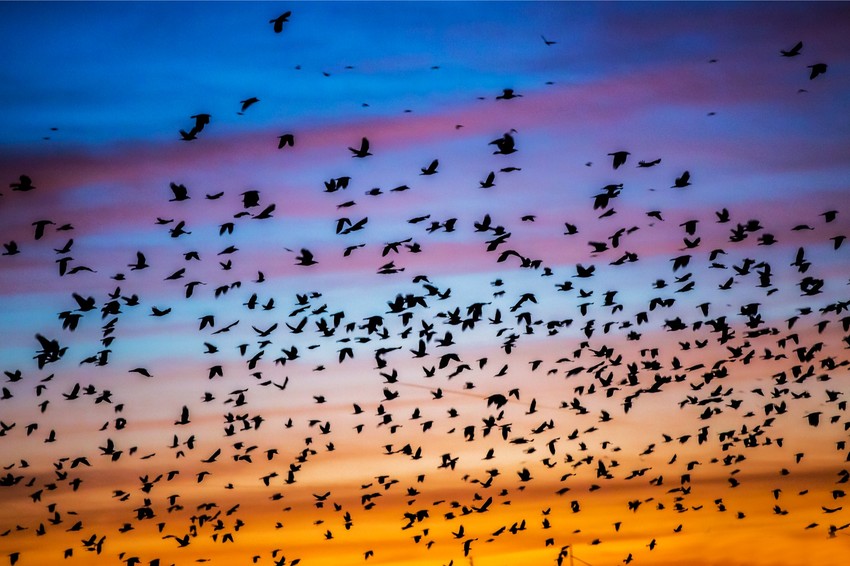 Pogled u nebo iznad Novog Beograda