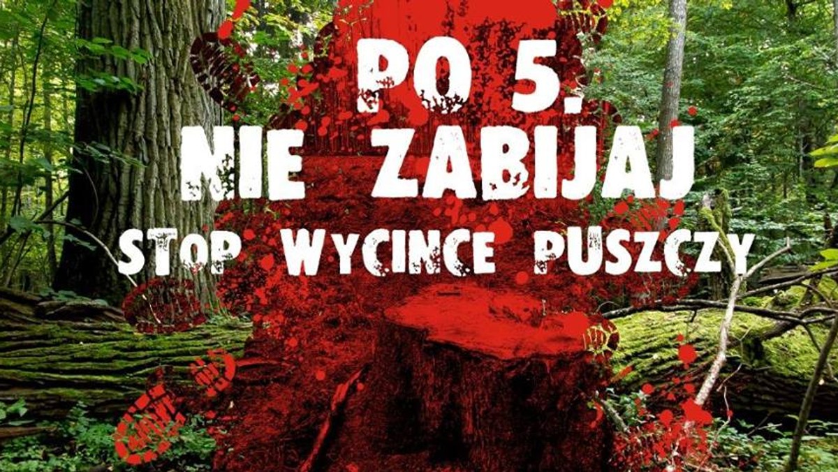 Pod hasłem "Po piąte - nie zabijaj. Stop wycince puszczy" łódzki KOD oraz część lokalnych polityków zaprotestuje dziś przed siedzibą Prawa i Sprawiedliwości przy ulicy Piotrkowskiej 141. Pikieta rozpoczyna się o godzinie 16, później zebrani przejdą do pasażu Schillera.