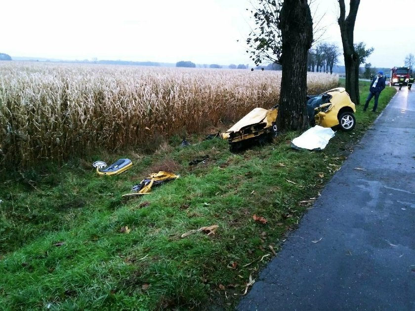 Tragiczny wypadek koło Radowic 