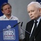 Prezes PiS Jarosław Kaczyński