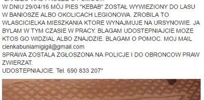 Dramat właścicielki: wywieźli mi psa do lasu