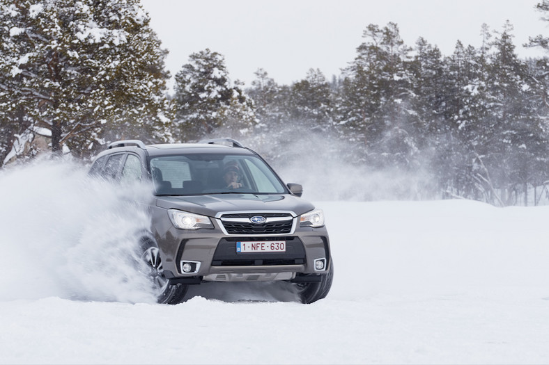 Subaru Snow Drive 2016