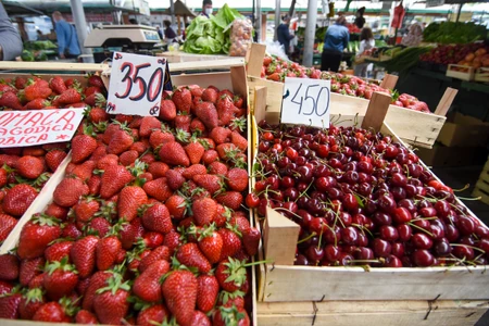 Novi Sad prve tresnje limanska pijaca trznica voce foto Nenad Mihajlovic 2