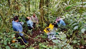 Researchers measure methane in trees in Peru.Vincent Gauci