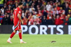 El. MŚ 2026. Szczur zakłócił mecz Walia - Belgia. Thibaut Courtois nie dał rady go złapać