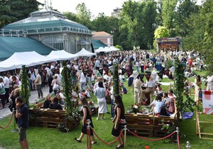 WINE GARDEN  