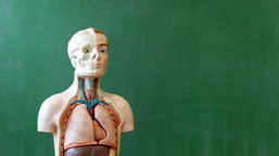 Trudny quiz z biologii. Wynik 20/20 to mistrzostwo