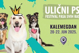 Festival pasa svih rasa “Ulični psi” vas poziva da BESPLATNO saznate sve o nezi pasa i možda UDOMITE svoju srodnu dušu na četiri noge