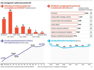Provident szykuje się do wprowadzenia kart płatniczych