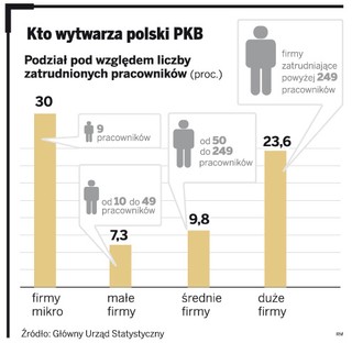 Polskim mikroprzedsiębiorcom brakuje pieniędzy na rozwój