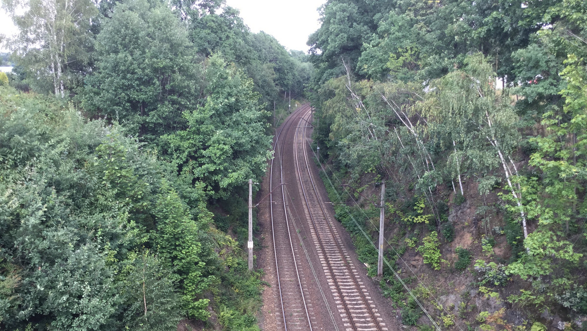 Nadal nie wiadomo, jaką tajemnicę skrywa 65. kilometr trasy kolejowej Wrocław-Wałbrzych. Na podstawie ostatnich badań poszukiwacze "złotego pociągu" wytypowali siedem miejsc, w których trzeba będzie wykonać odwierty.