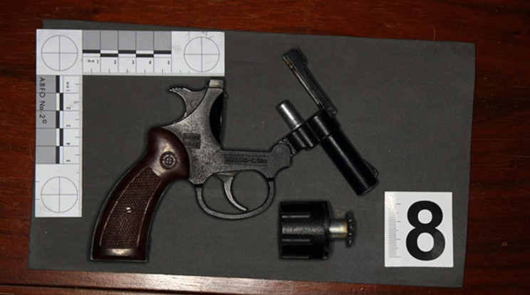 A házkutatás során fegyvereket is találtak a házaspárnál /Fotó: police.hu