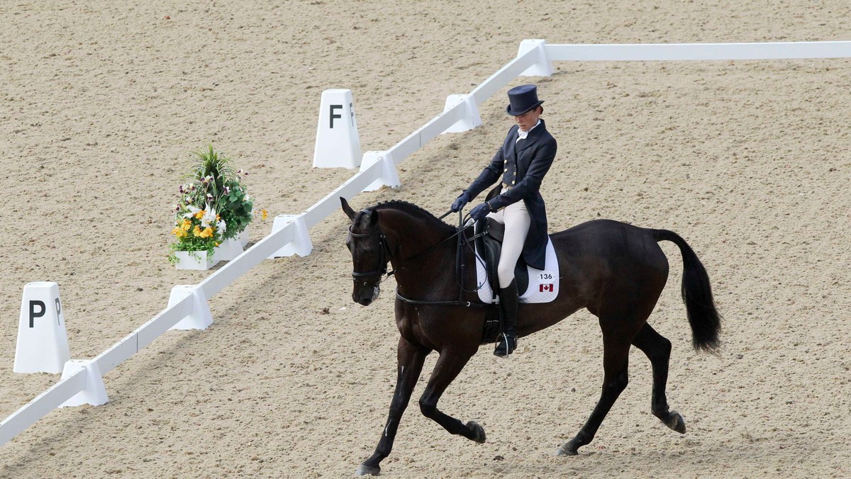 Na hipodromie w Morawie realnych kształtów nabiera trasa crossu, na którym zawodnicy zawalczą o punkty podczas czerwcowych zawodów Strzegom Horse Trials. Próba terenowa to najbardziej emocjonująca część zawodów. Jeźdźcy w limitowanym czasie muszą pokonać wyznaczoną trasę z przeszkodami. Liczą się szybkość, wytrzymałość i umiejętności skokowe koni.