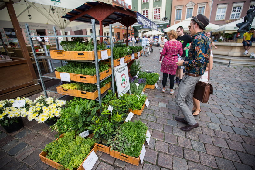 Festiwal Dobrego Smaku