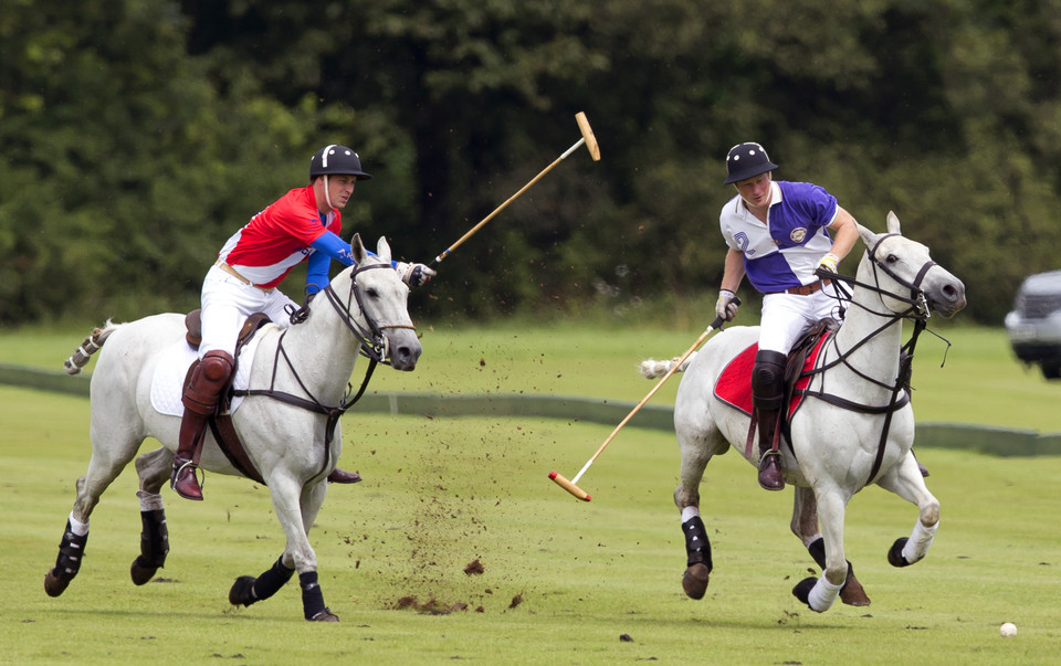 William i Harry na meczu polo