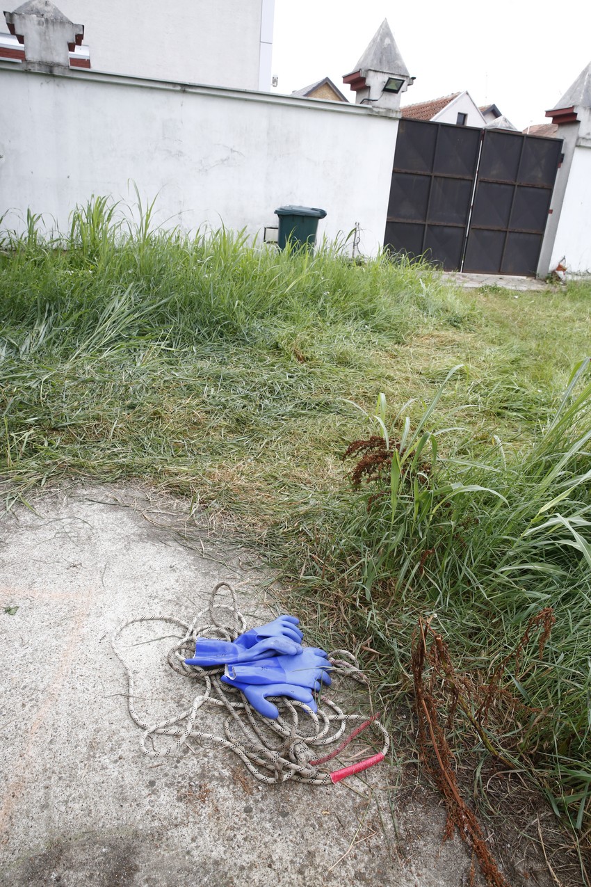 Trostruko ubistvo u Surčinu