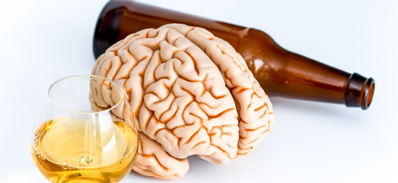 Picie nawet niewielkich ilości alkoholu znacząco postarza mózg