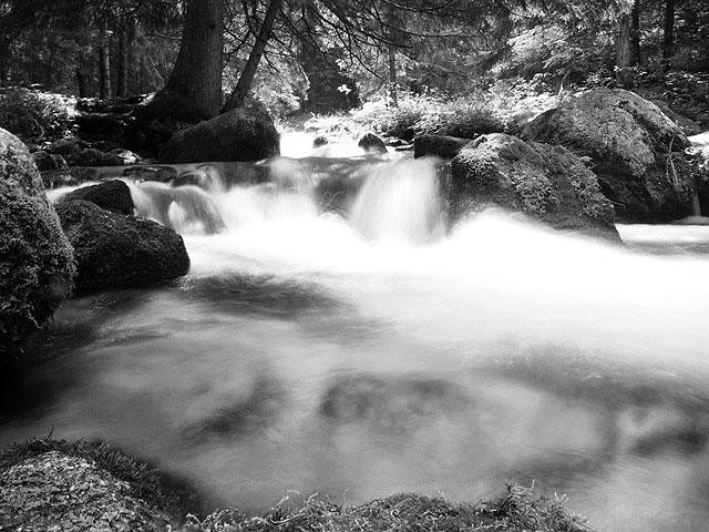 Galeria Polska - Tatry, obrazek 21