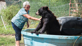 Cukibonbon: két medvével és egy tigrissel él a texasi nagymama - Galéria