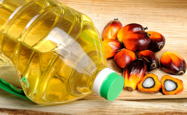 Jak wykorzystać olej palmowy? Indonezja, największy światowy producent, zastosowała go w... lotnictwie