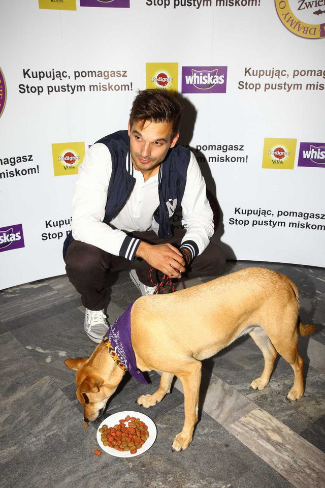 Polskie gwiazdy wspierają bezdomne zwierzęta