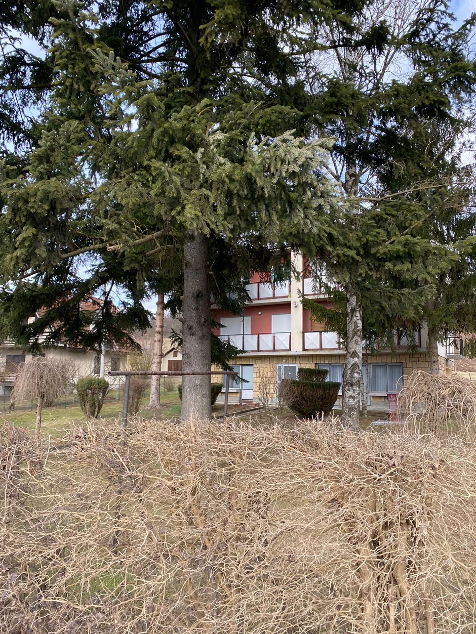 Kuća Dejana Tomaševića