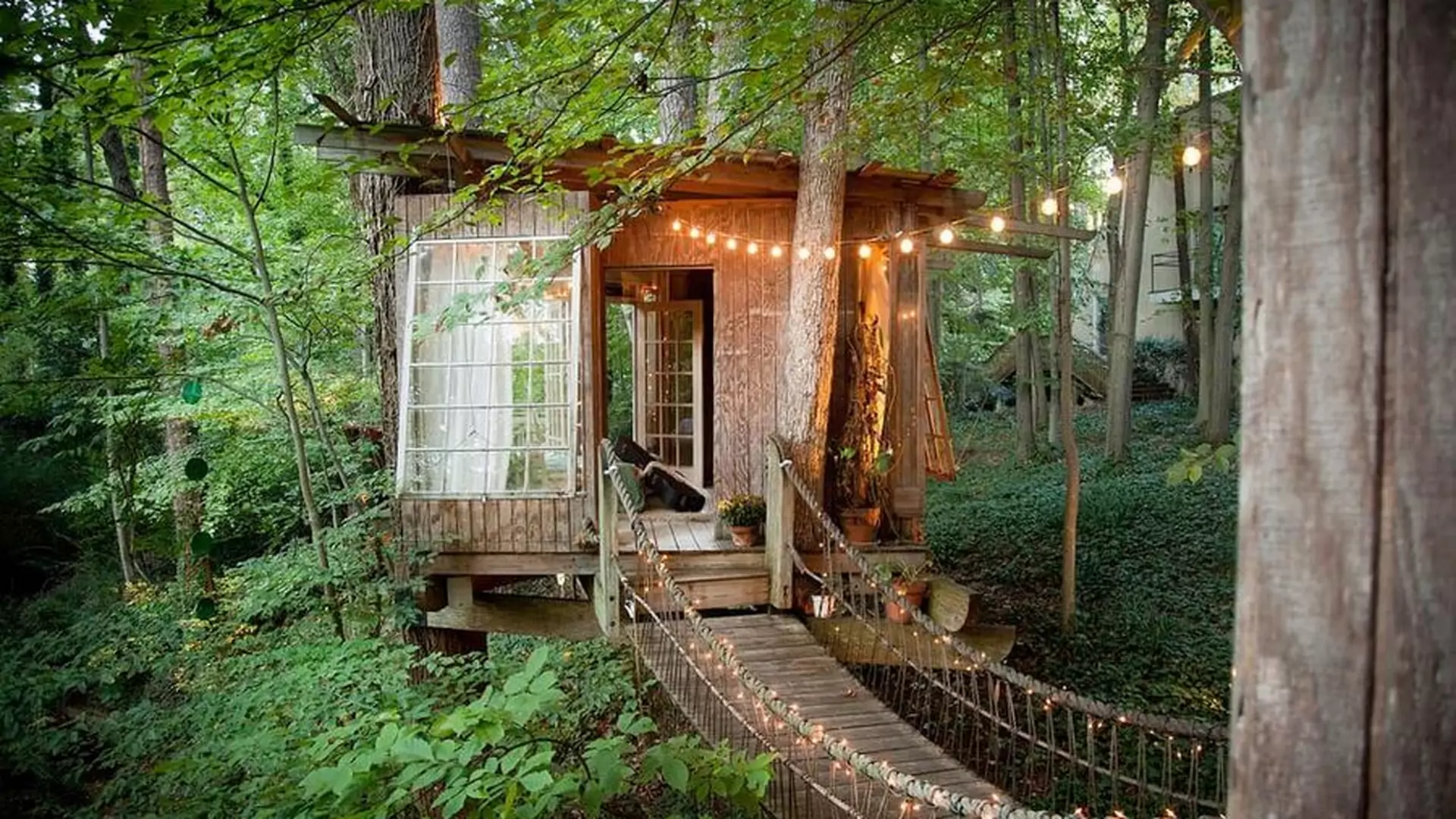 Wakacje na drzewie? Ten magiczny dom to najbardziej pożądane lokum na Airbnb