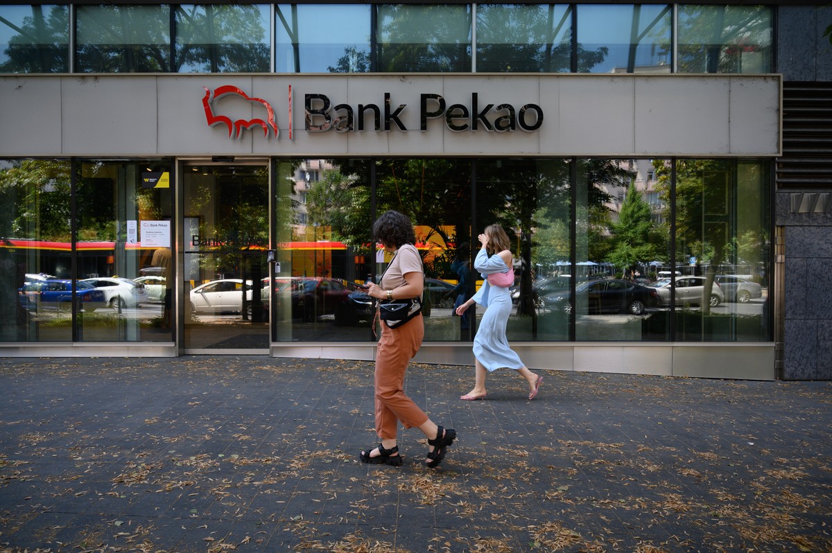 Państwowy bank zarobił krocie. "Możemy mówić o pewnym przyspieszeniu"