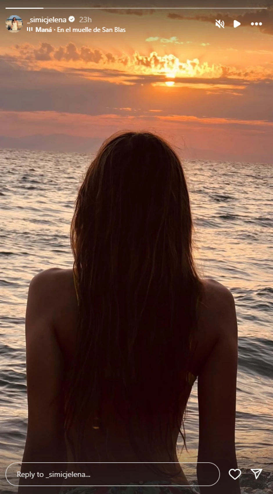 Jelena Simić, objava