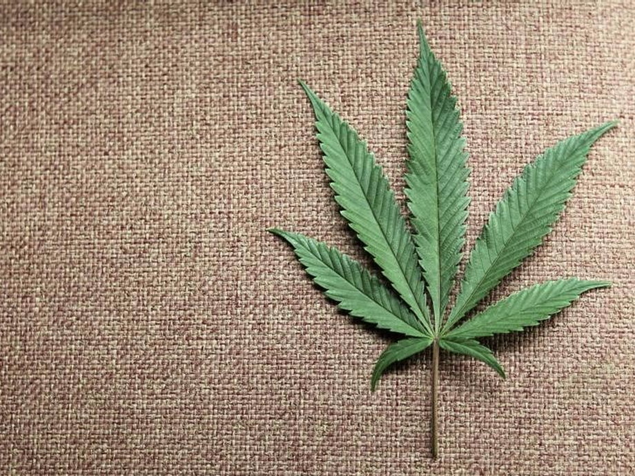 A marijuana leaf displayed at Canna Pi medical marijuana dispensary in Seattle.