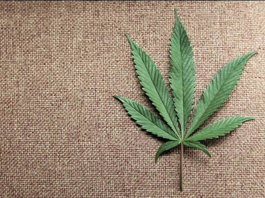 A marijuana leaf displayed at Canna Pi medical marijuana dispensary in Seattle.