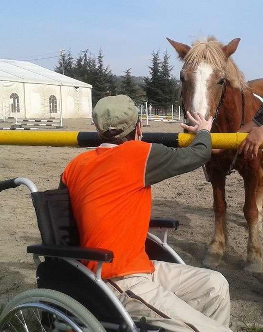 Konjić Kleopatra na beogradskom hipodromu