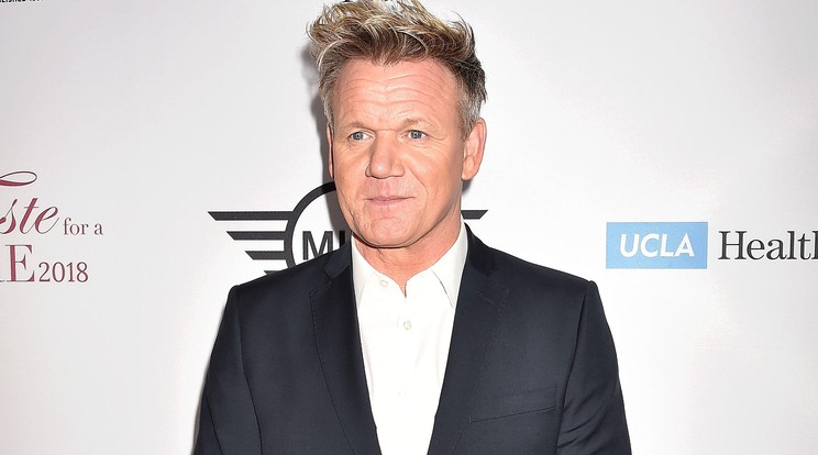 Gordon Ramsay halottnak hitte alvó macskáját. / Fotó: Northfoto