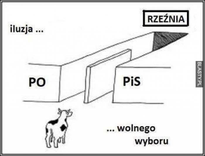 Memy po wyborach parlamentarnych 2019