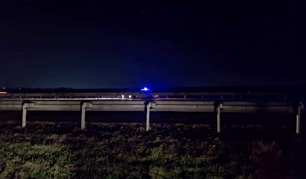 Ovde je pronađena Milica Asanović