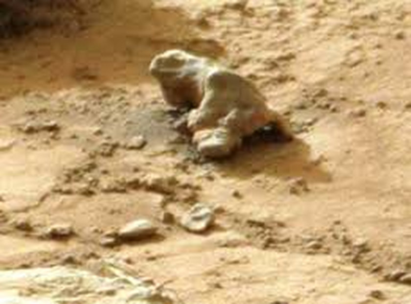 Jaszczurka na Marsie