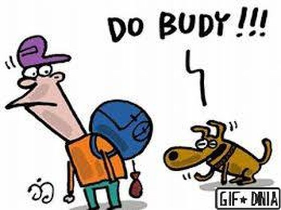 Powrót do szkoły szyderczym okiem internautów