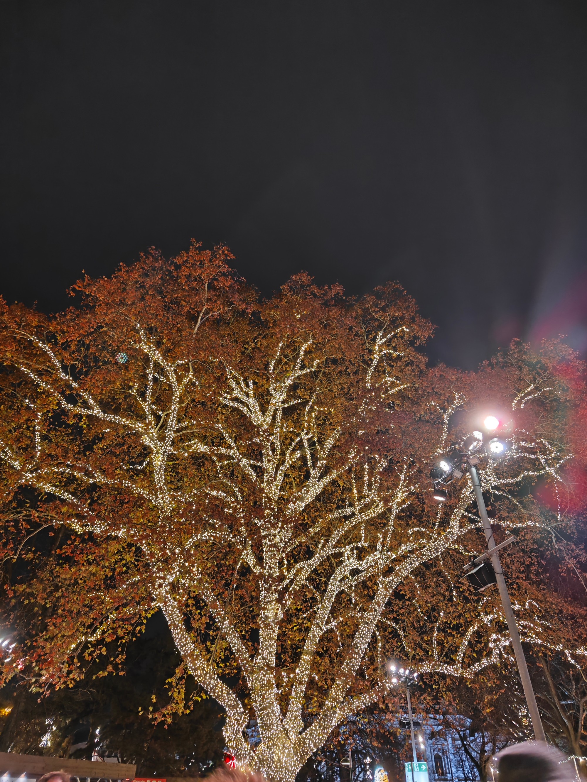 Čitateľ Patrik navštívil vianočné trhy na Rathausplatzi.