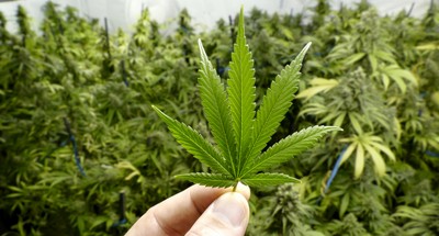 zstk9kqTURBXy9iNzYxMzAwZTMyOGE3Zjk2NjI4Z