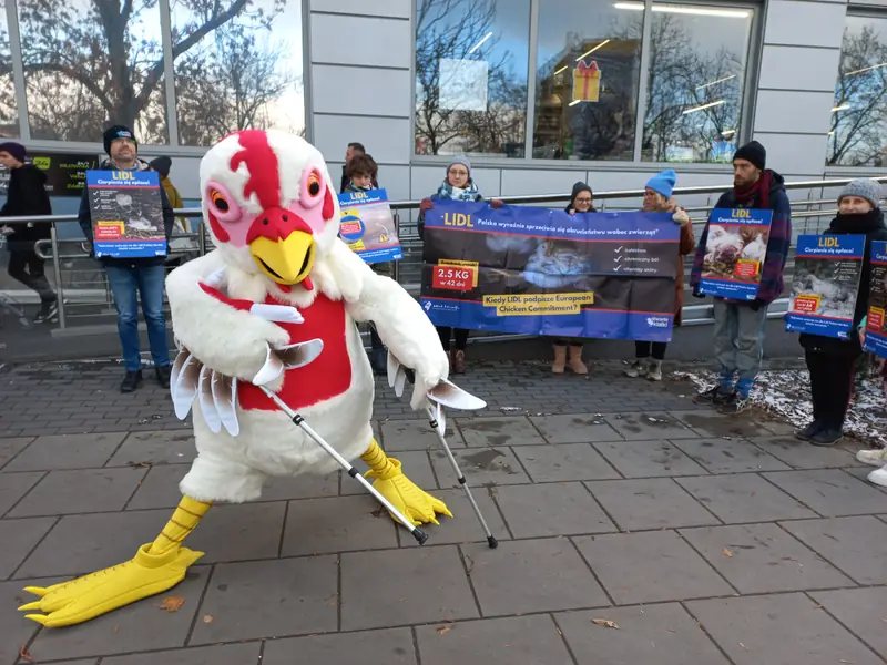 Protest przed sklepem Lidl Polska w Warszawie