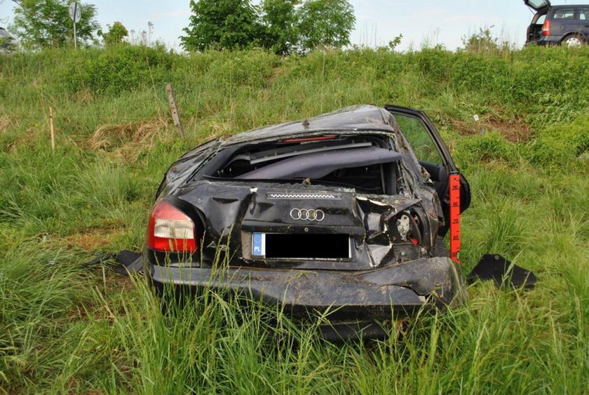 Policjanci pojechali do wypadku. Na miejscu mocno się zdziwili