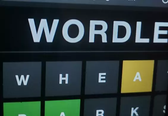Wordle nie tracą popularności. Możesz zagrać tylko raz dziennie, także po polsku
