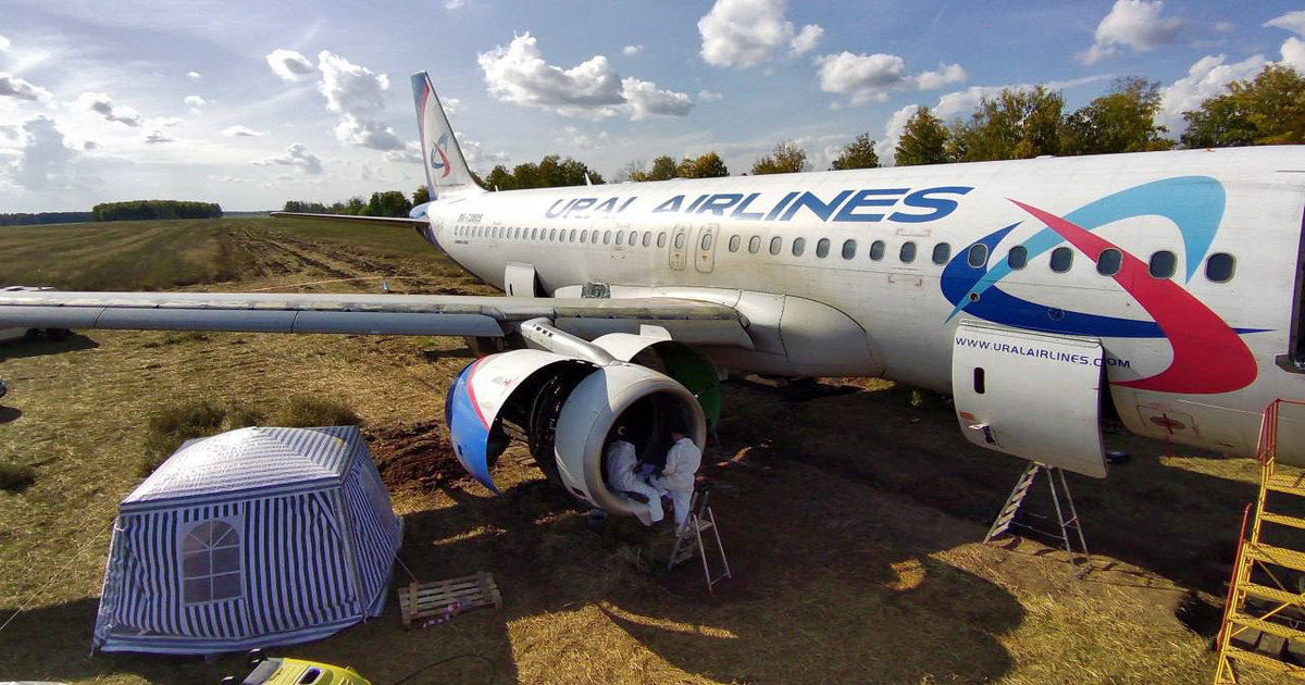 www.aerotelegraph.com