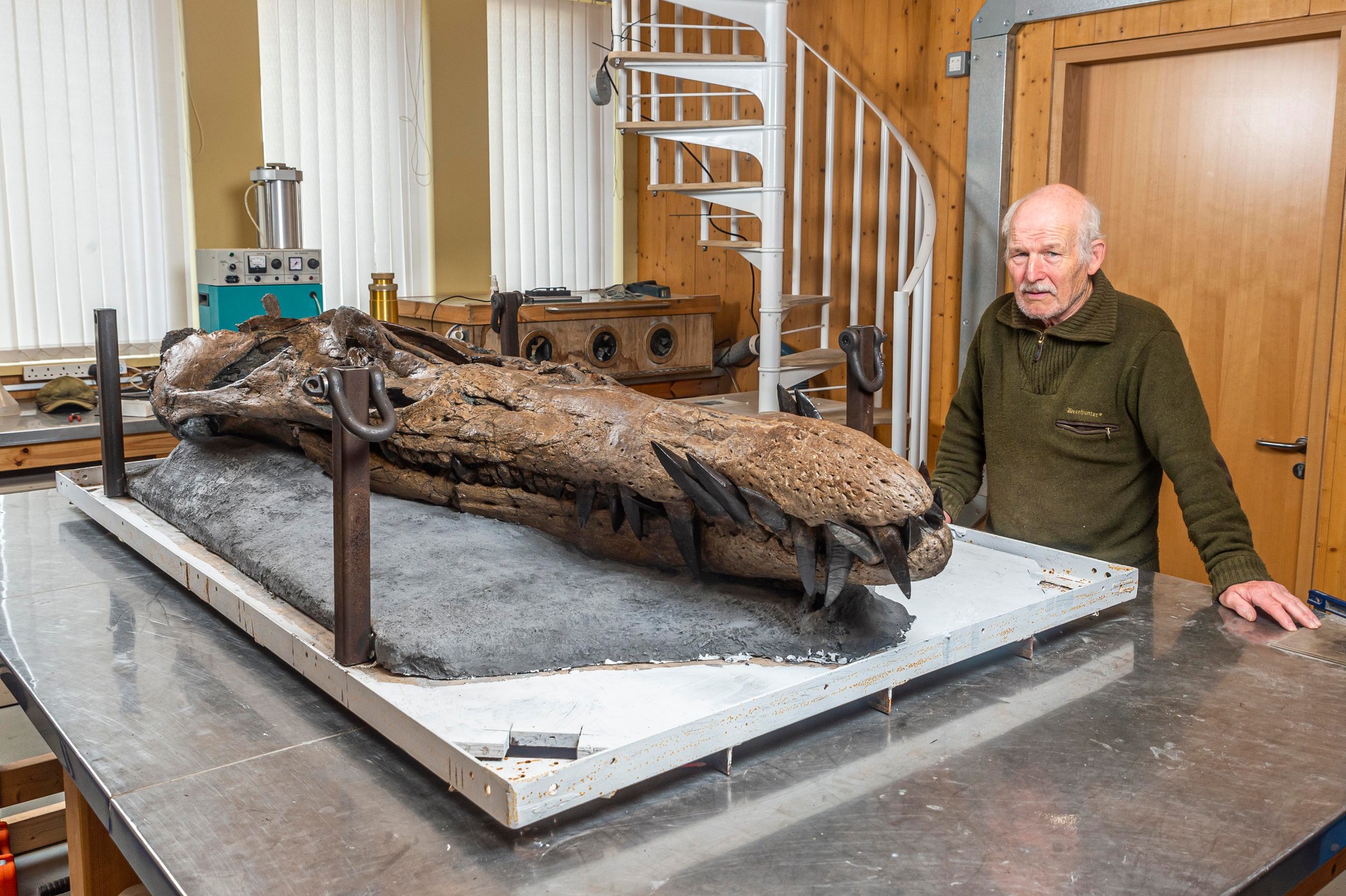 Britskí paleontológovia objavili lebku gigantického morského pliosaura.