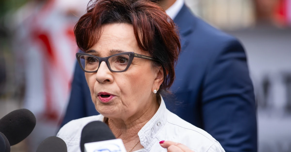 PiS znów stawia na Witek. Czy zostanie wicemarszałkiem Sejmu?