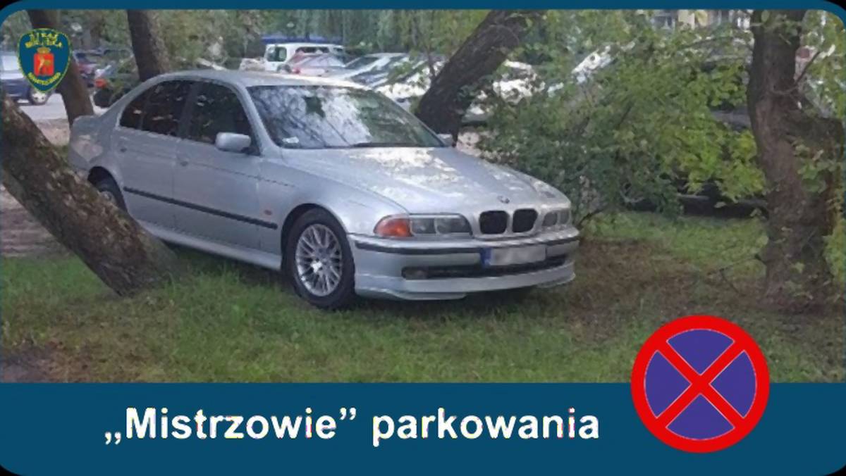 „Mistrzowie parkowania” w Warszawie
